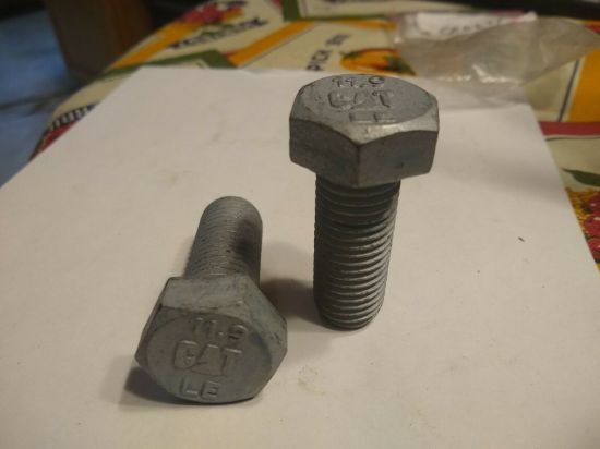 Picture of Bolt