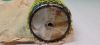 Picture of PIN