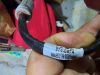 Picture of SENSOR GP, Knock
