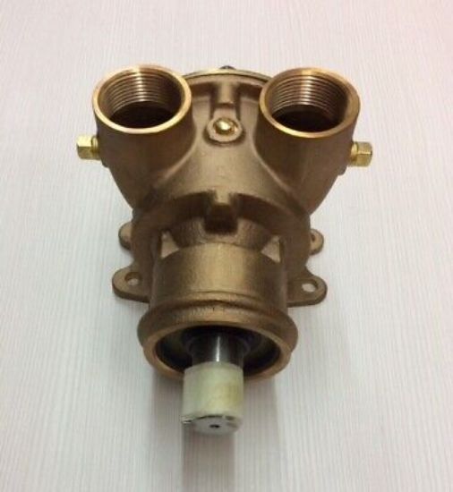 Picture of PUMP GP-AUXILIARY SEA WATER