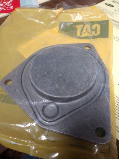 Picture of COVER