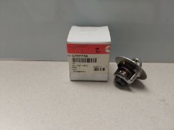 THERMOSTAT resmi