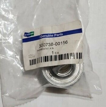 THERMOSTAT resmi