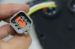 MODULE QUAD GAGE resmi