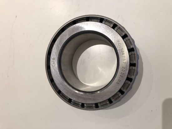 Picture of CONE-BEARING