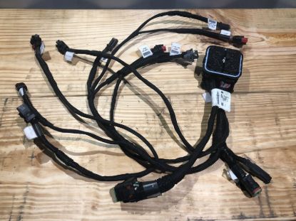Picture of HARNESS AS-W