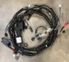 Picture of HARNESS AS