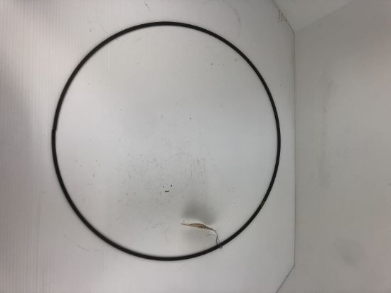Picture of RING