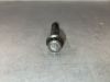 Picture of Bolt-High Temperature