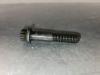 Picture of Bolt-High Temperature