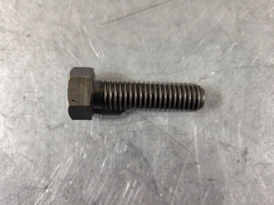 Picture of Bolt