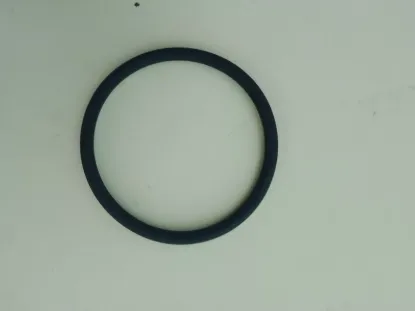 Picture of O-Ring