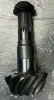 Picture of CROWN AND PINION