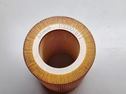 Picture of Air Filter