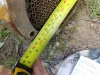 Picture of OIL COOLER