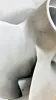 Picture of IMPELLER