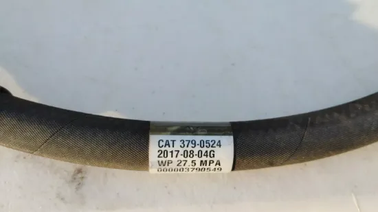 Picture of HOSE AS