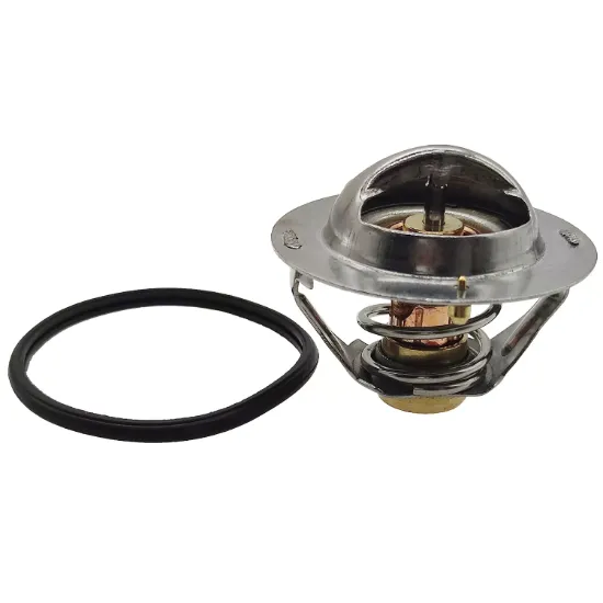 Picture of THERMOSTAT