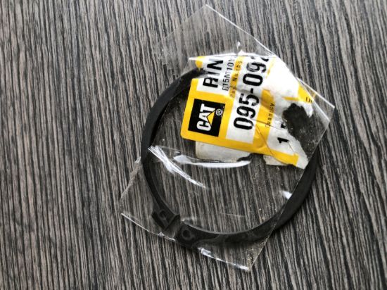 Picture of RING,SNAP
