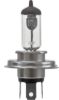 Picture of 24V 100/90W Halogen Bulb