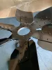 Picture of FAN