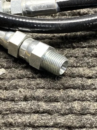 Picture of HOSE AS
