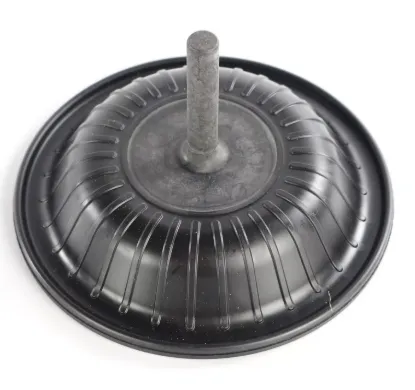 Picture of DIAPHRAGM