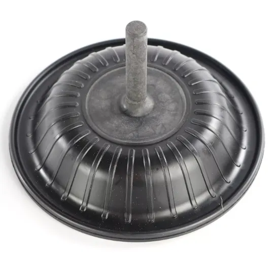 Picture of DIAPHRAGM
