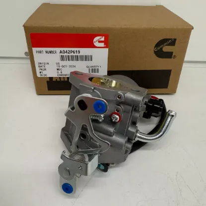 Picture of CARBURETOR KIT