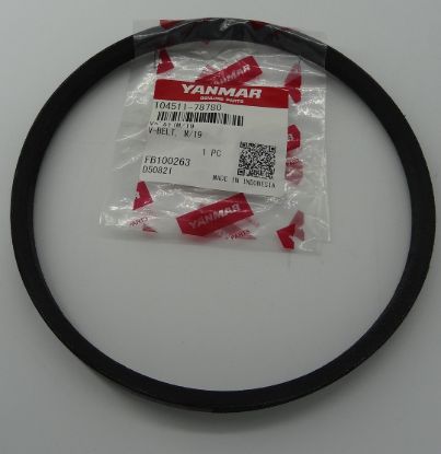 Picture of V-BELT