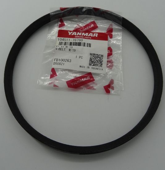 Picture of V-BELT