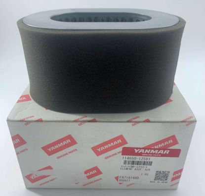 Picture of Air Filter