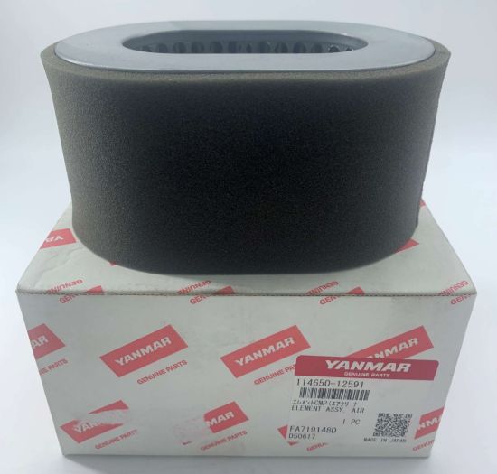 Picture of Air Filter