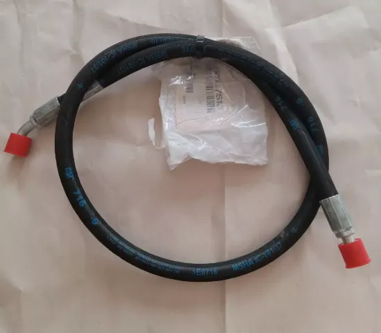 Picture of HOSE AS