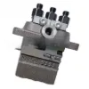 Picture of FUEL INJECTION PUMP