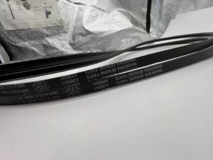 Picture of V-BELT