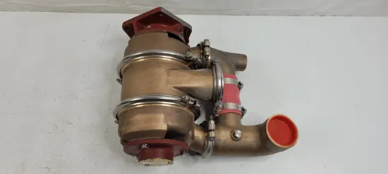 Picture of PUMP GP-AUXILIARY SEA WATER