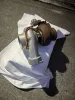 Picture of Turbo Charger