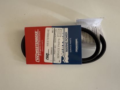 Picture of BELT - POLY-V 3GR 31.50