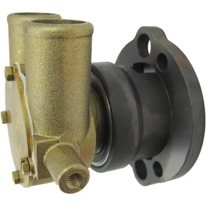 Picture of Raw Water Pump