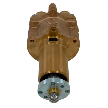 Picture of Sea Water Pump