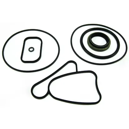 Picture of SEAL KIT