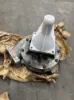 Picture of PUMP GP WTR