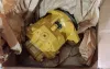 Picture of MOTOR GP-PISTON  -PROPEL, DRUM