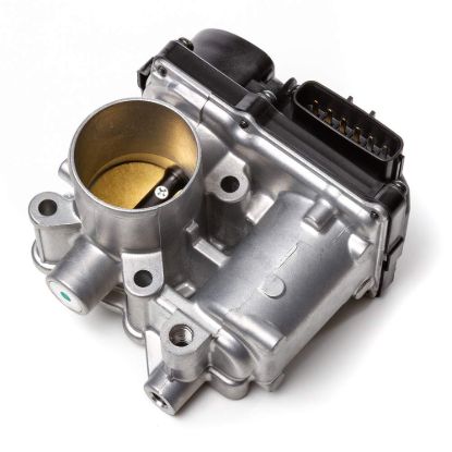 Picture of Throttle Body Carburetor