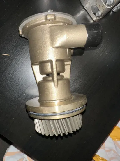 Picture of Raw Water Pump