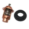 Picture of THERMOSTAT