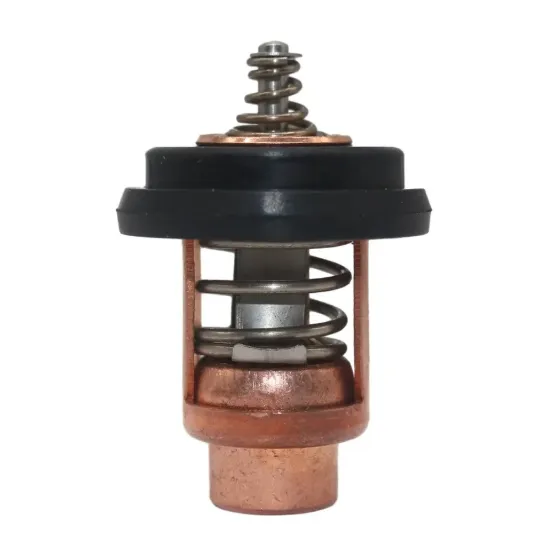 Picture of THERMOSTAT