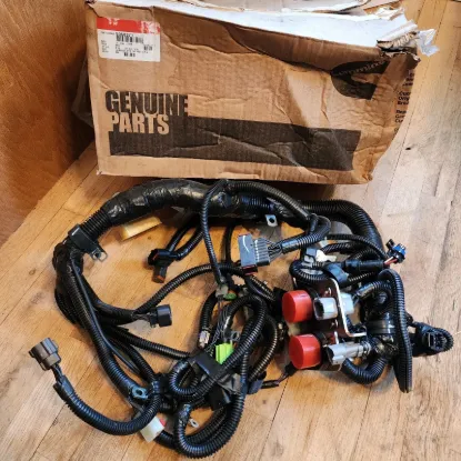 Picture of ECM Wiring Harness