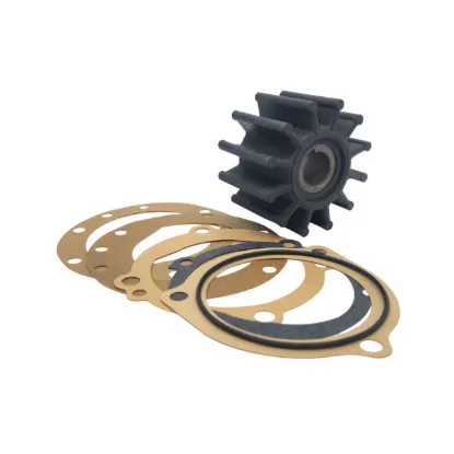 Picture of KIT,SEA WATER PUMP REPAIR